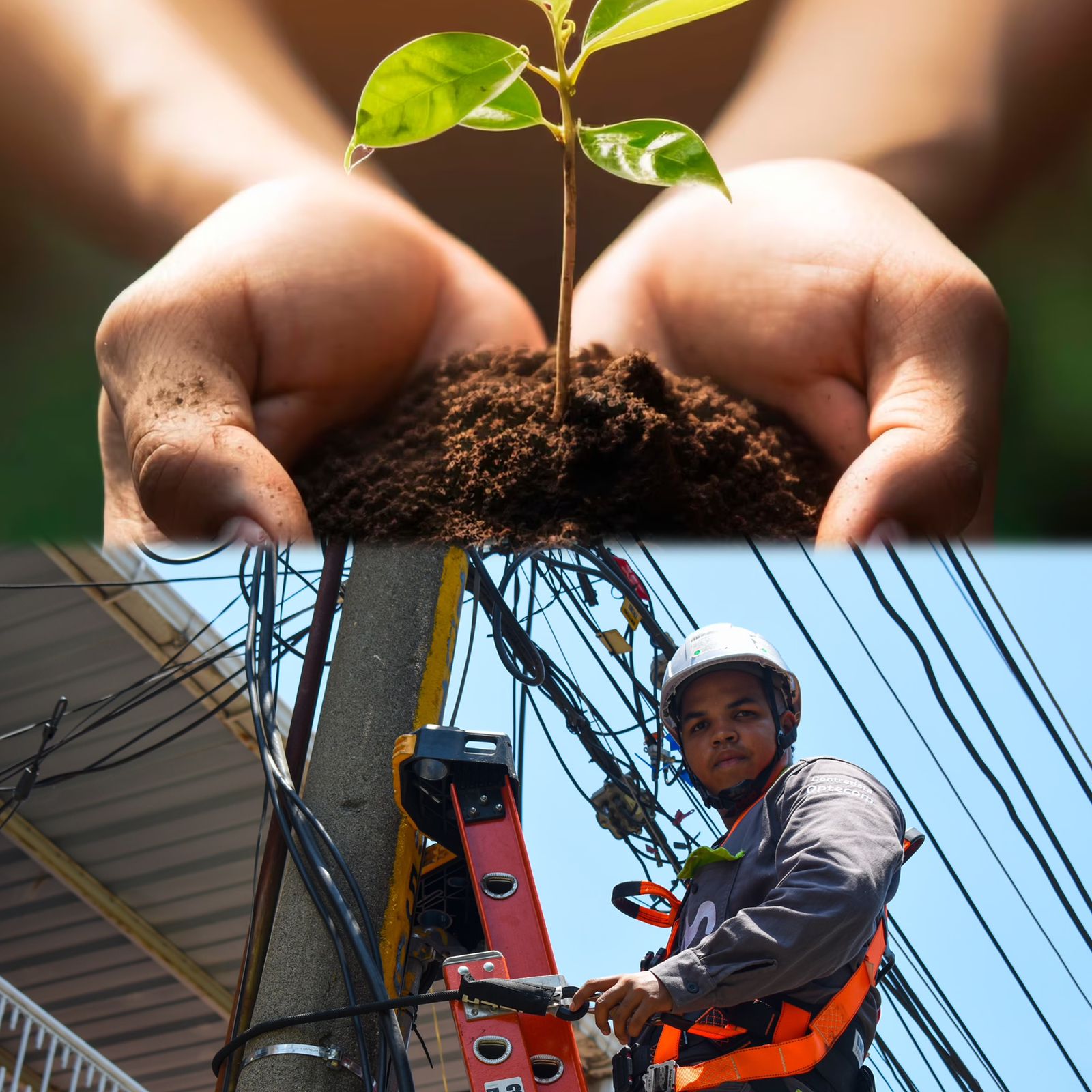 Movistar Colombia está comprometida con la reducción de emisiones, el repliegue de cobre y la sostenibilidad en el país