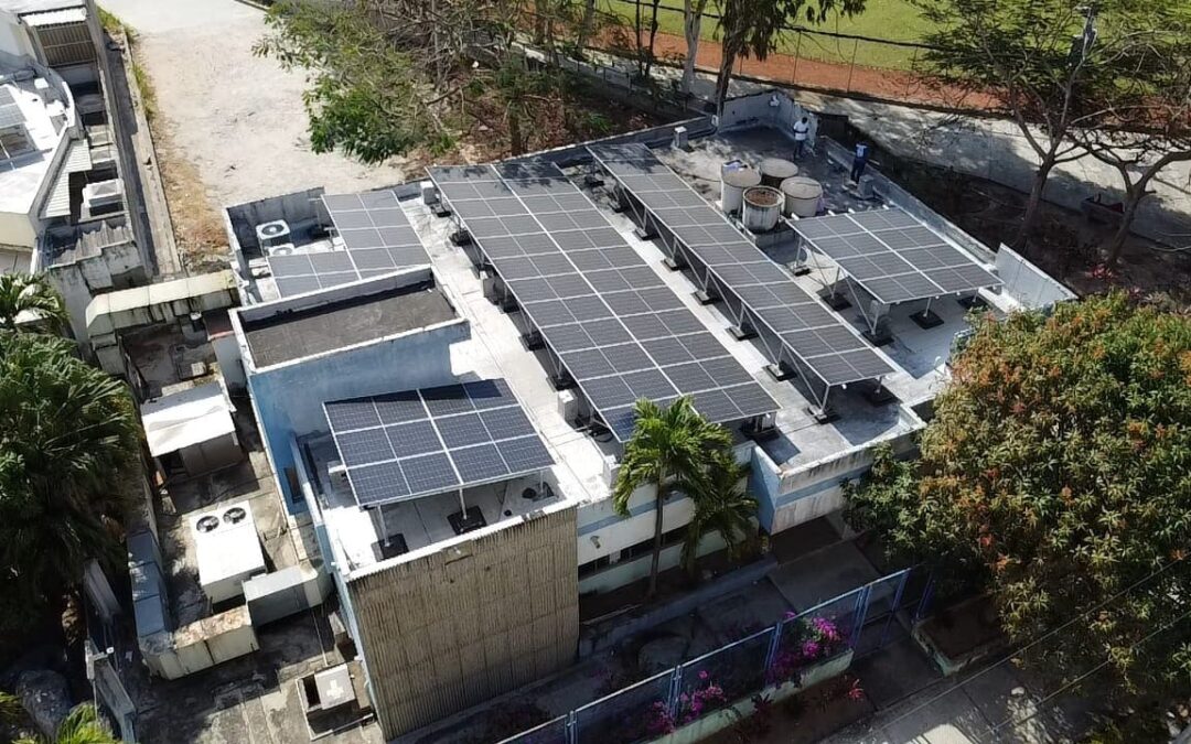 Movistar avanza hacia la energía 100% renovable con la instalación de 2.200 paneles solares